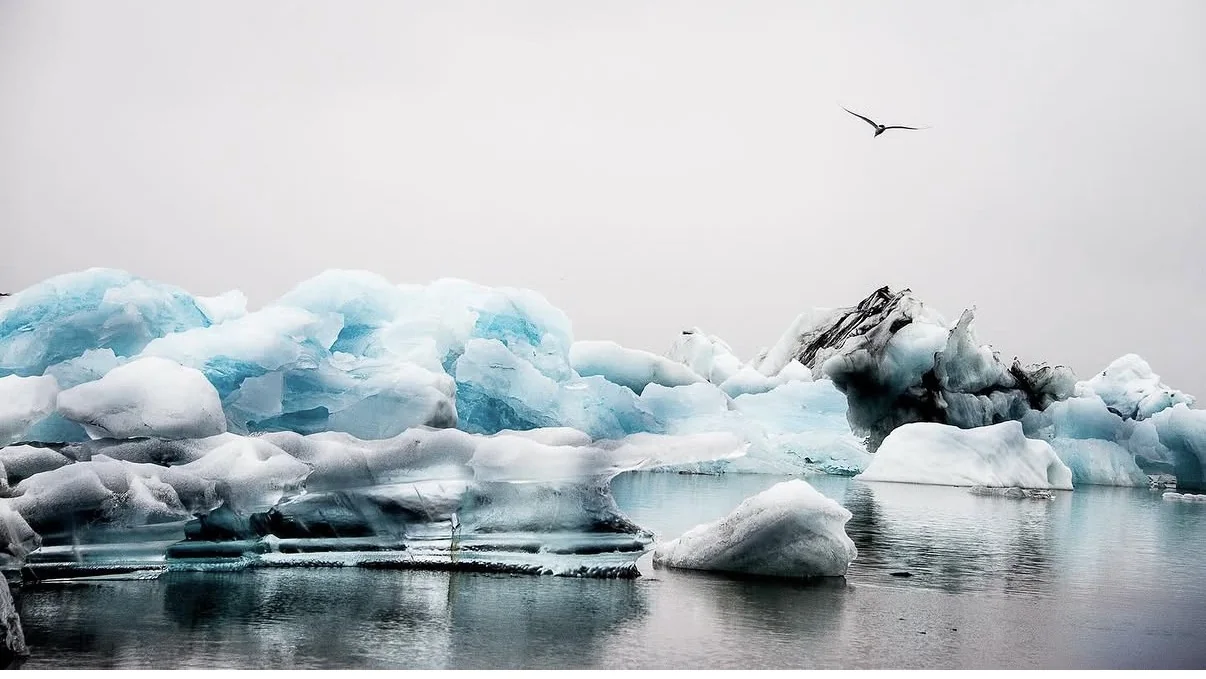 Icebergs et oiseau au lagon glaciaire de Jökulsárlón, en Islande
